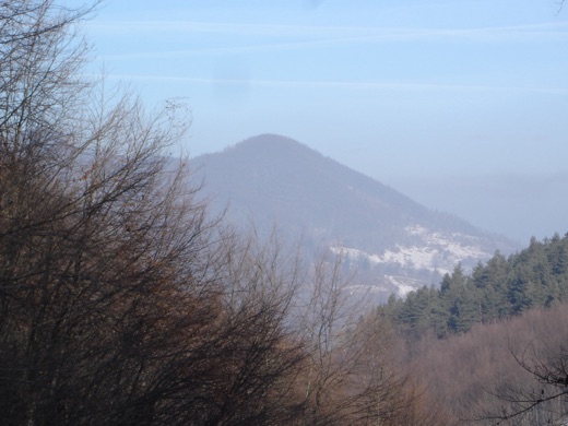 DSC05150.JPG