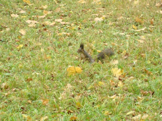 DSC04381.JPG