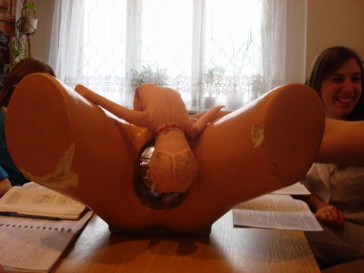 DSC04885.JPG