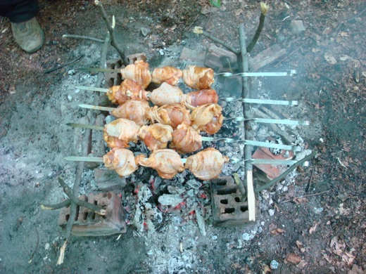 DSC06885.JPG