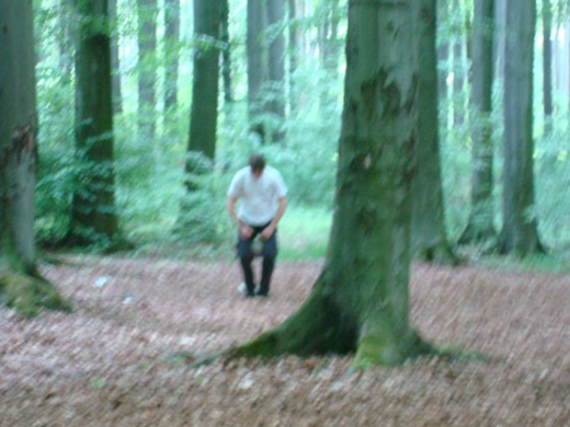 DSC06903.JPG
