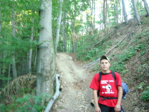 DSC00334.JPG