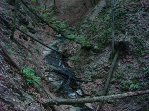 DSC00357.JPG
