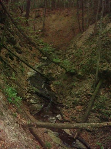 DSC00359.JPG