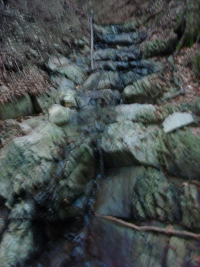 DSC00370.JPG