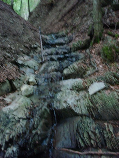 DSC00371.JPG