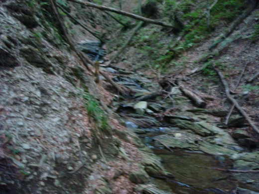 DSC00372.JPG