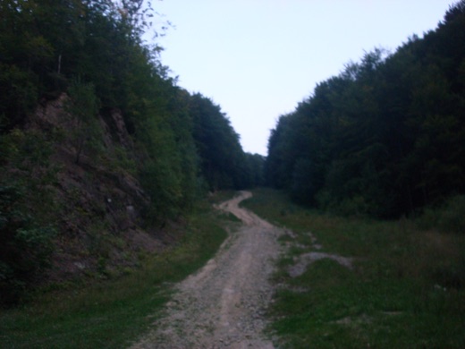 DSC00397.JPG