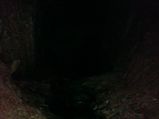 DSC00403.JPG
