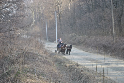 DSC_4770.JPG