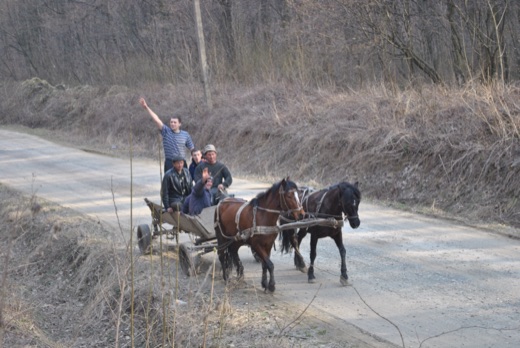 DSC_4772.JPG