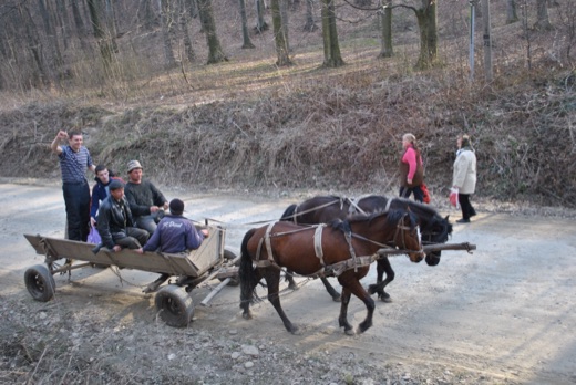 DSC_4777.JPG